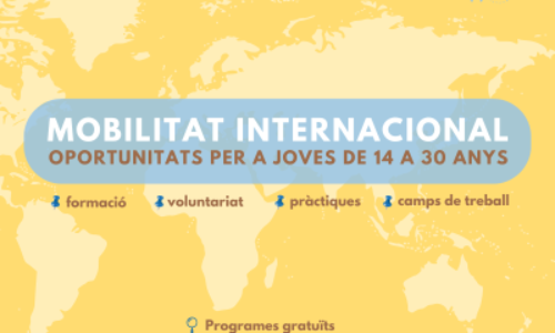 Xerrada sobre mobilitat internacional de joves