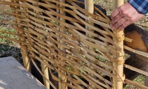 Curs d’entramats vegetals