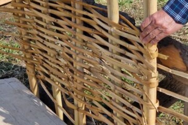 Curs d’entramats vegetals