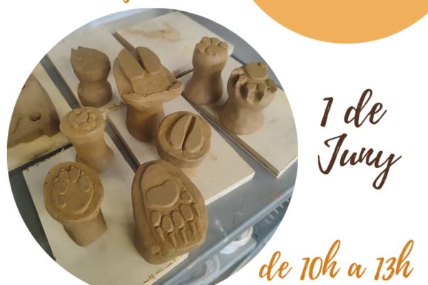 Taller de rastres d’animals