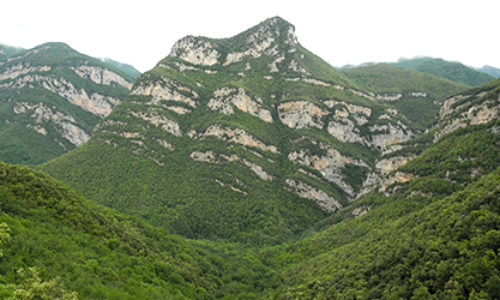 Sortida a l’Alta Garrotxa