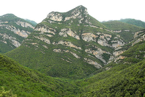 Sortida a l’Alta Garrotxa