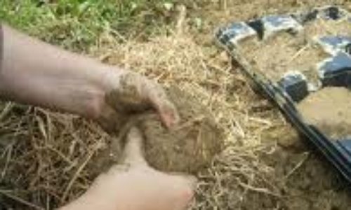 Taller de bioconstrucció: forn de fang amb infants i joves