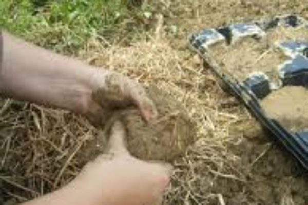 Taller de bioconstrucció: forn de fang amb infants i joves