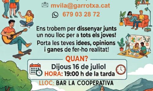 Vols impulsar un nou espai de lleure a les Planes d’Hostoles?